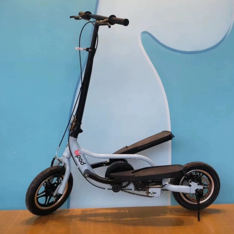 Stepping Standing Bicycle Scoo - Cycling Commute Speed 评论和价格
