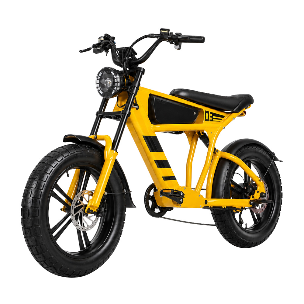 48V 18.2Ah 1000W Fat Tire Elec - Cycling Commute Speed 评论和价格