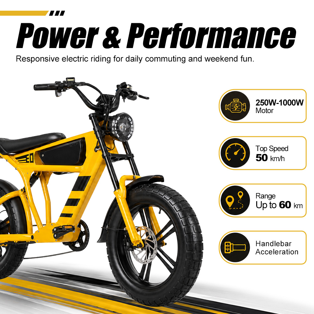48V 18.2Ah 1000W Fat Tire Elec - Cycling Commute Speed 评论和价格