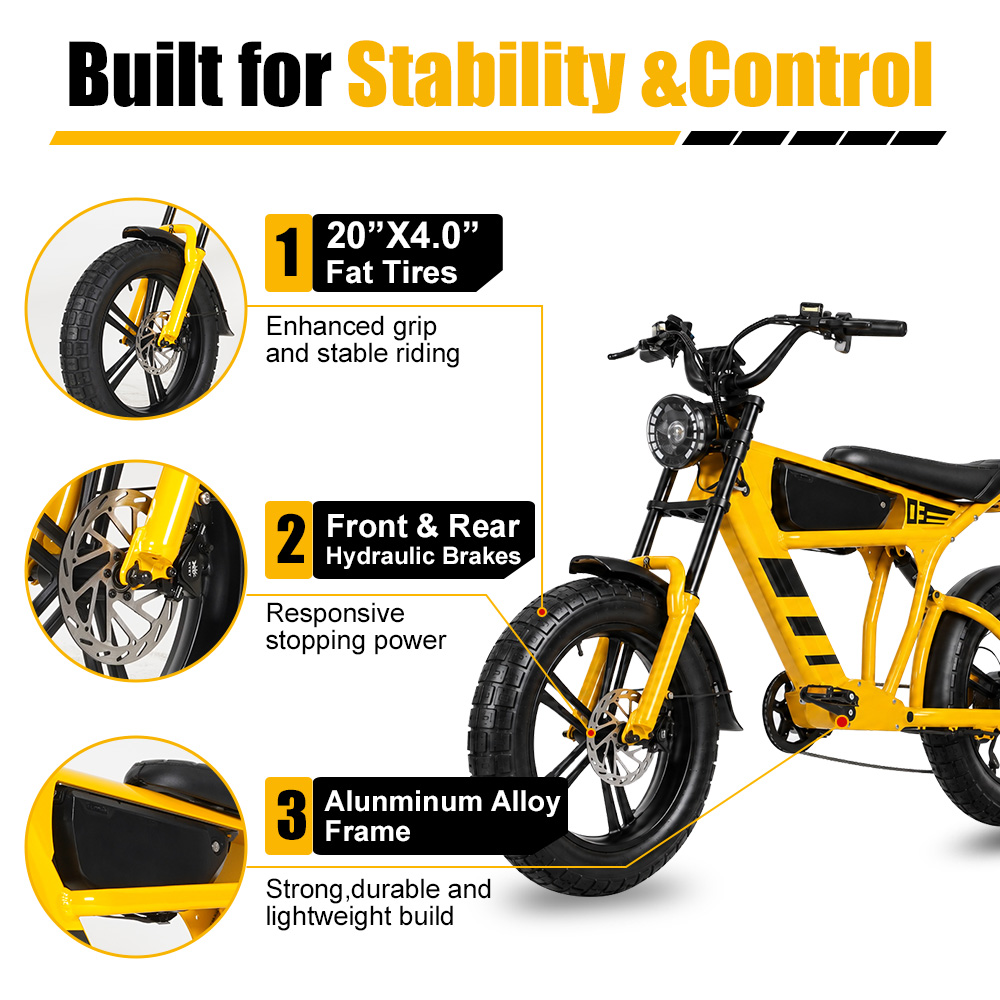 48V 18.2Ah 1000W Fat Tire Elec - Cycling Commute Speed 评论和价格